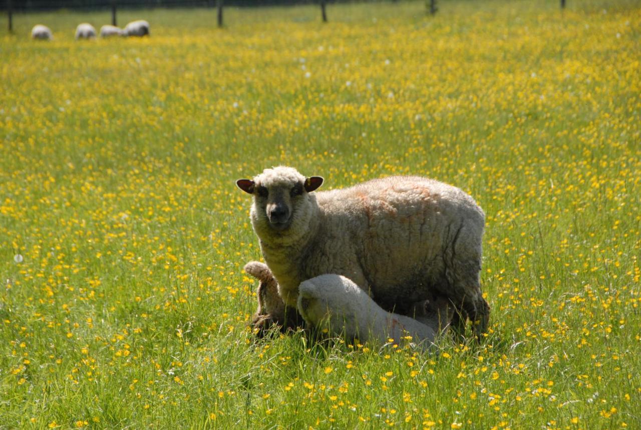 Banbury Hill Farm Bed & Breakfast Charlbury Dış mekan fotoğraf